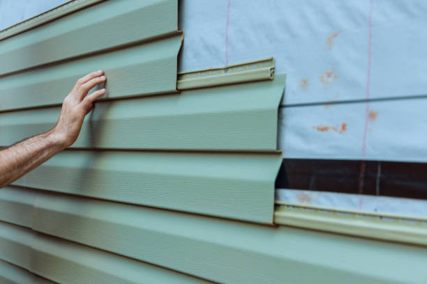 Best Custom Siding Design  in Perry, FL